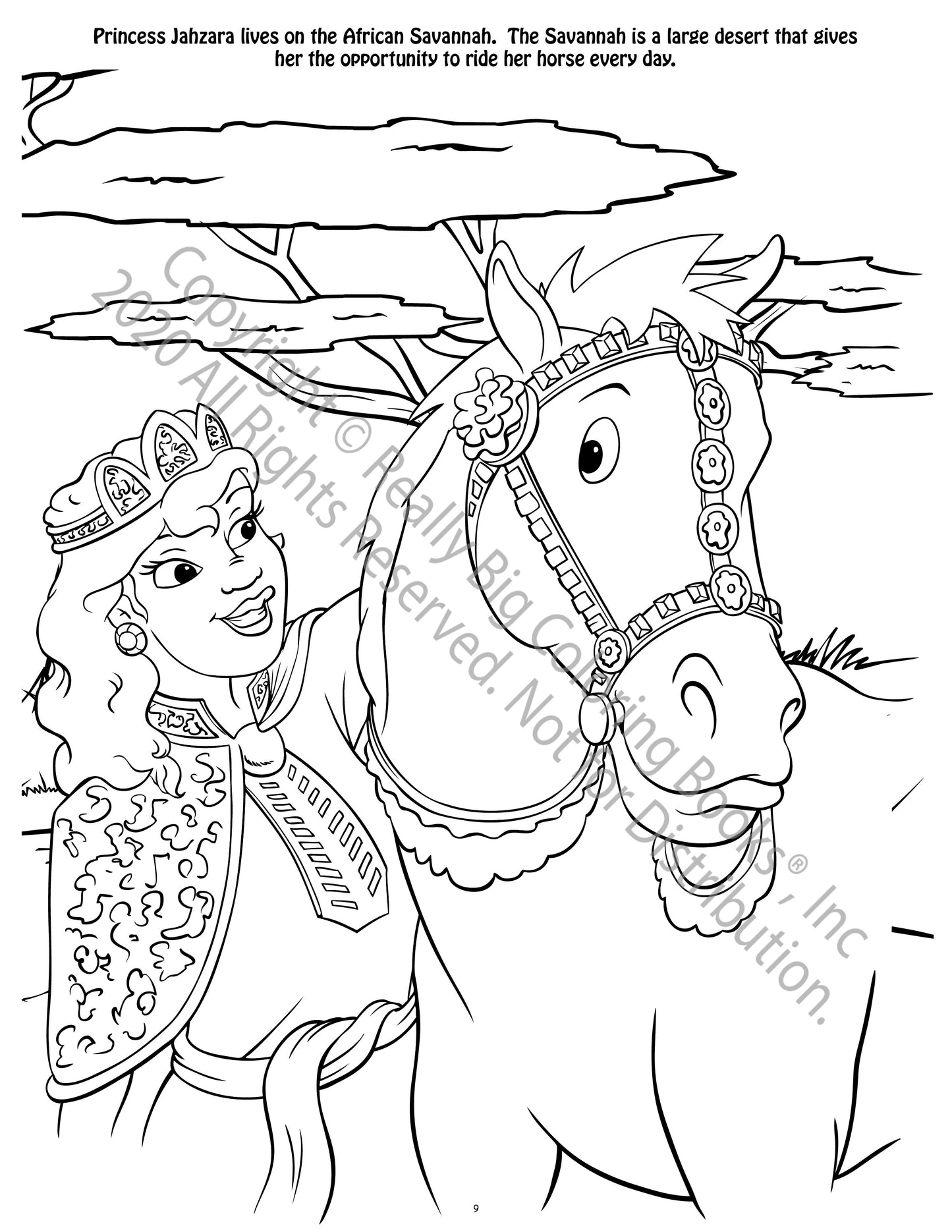 Fairies and Princesses Coloring Book Case Pack (12)