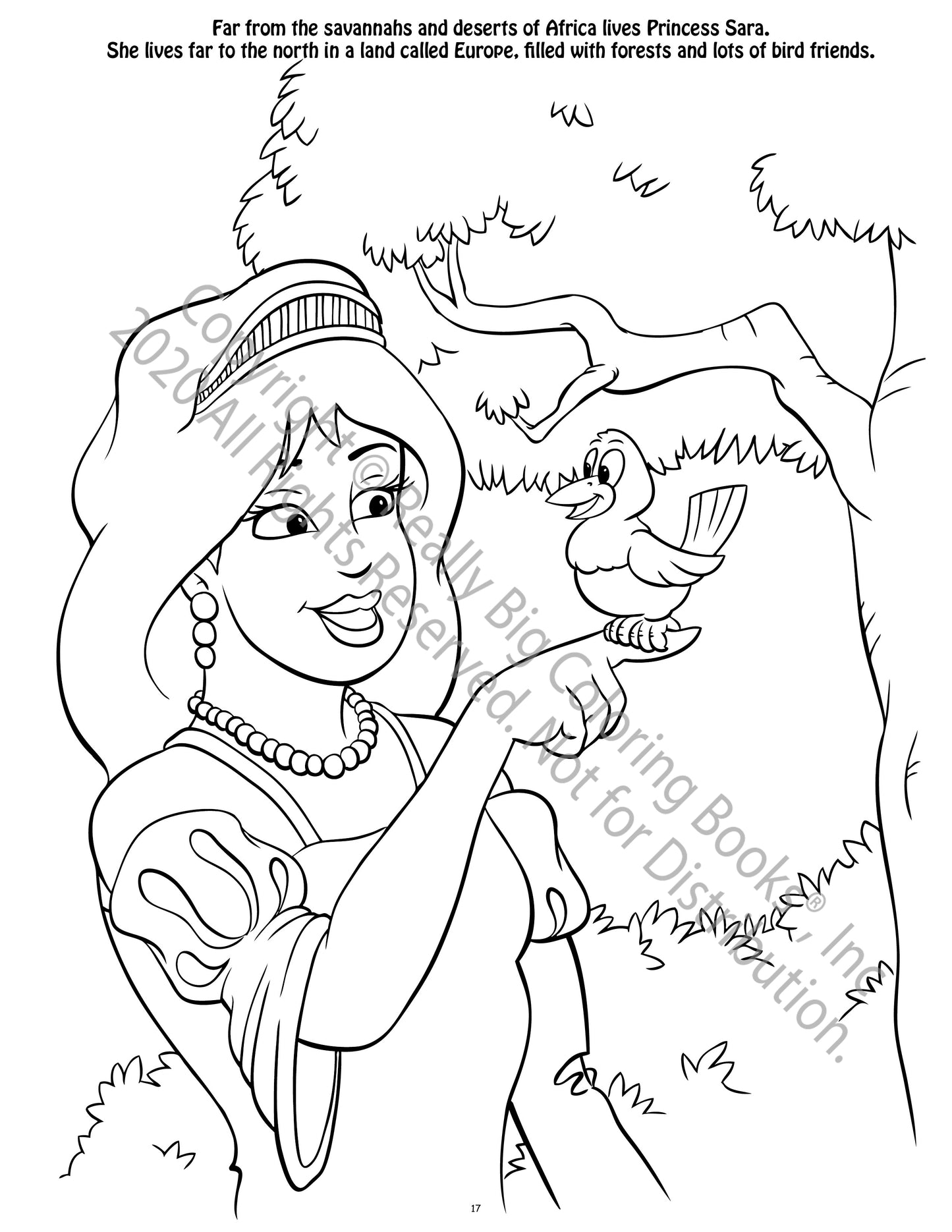 Fairies and Princesses Coloring Book Case Pack (12)