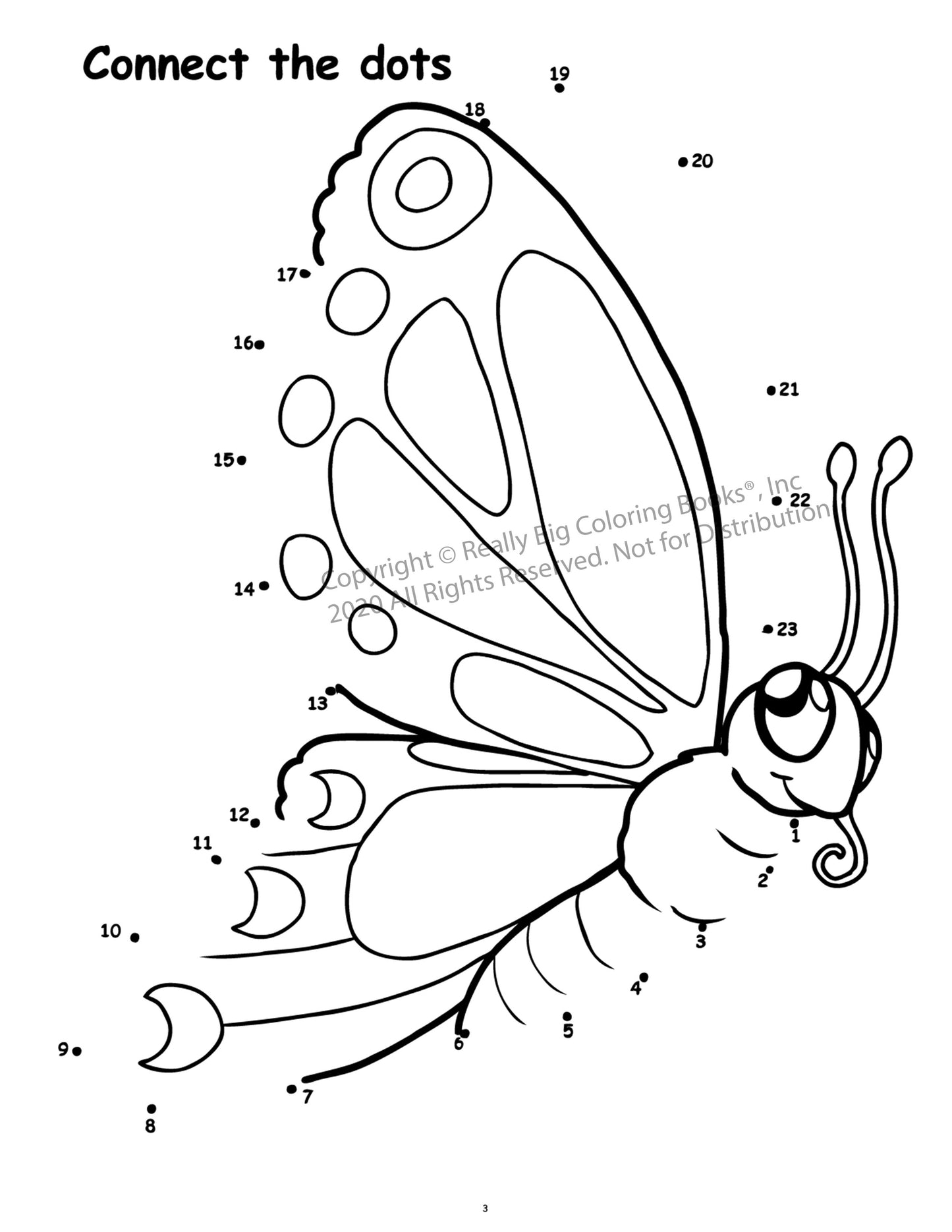 Butterflies and Birds Coloring Book Case Pack (12)