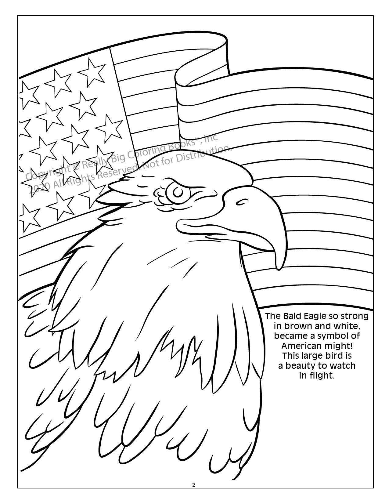 Celebrate America Power Panel Coloring Book Case Pack (12)