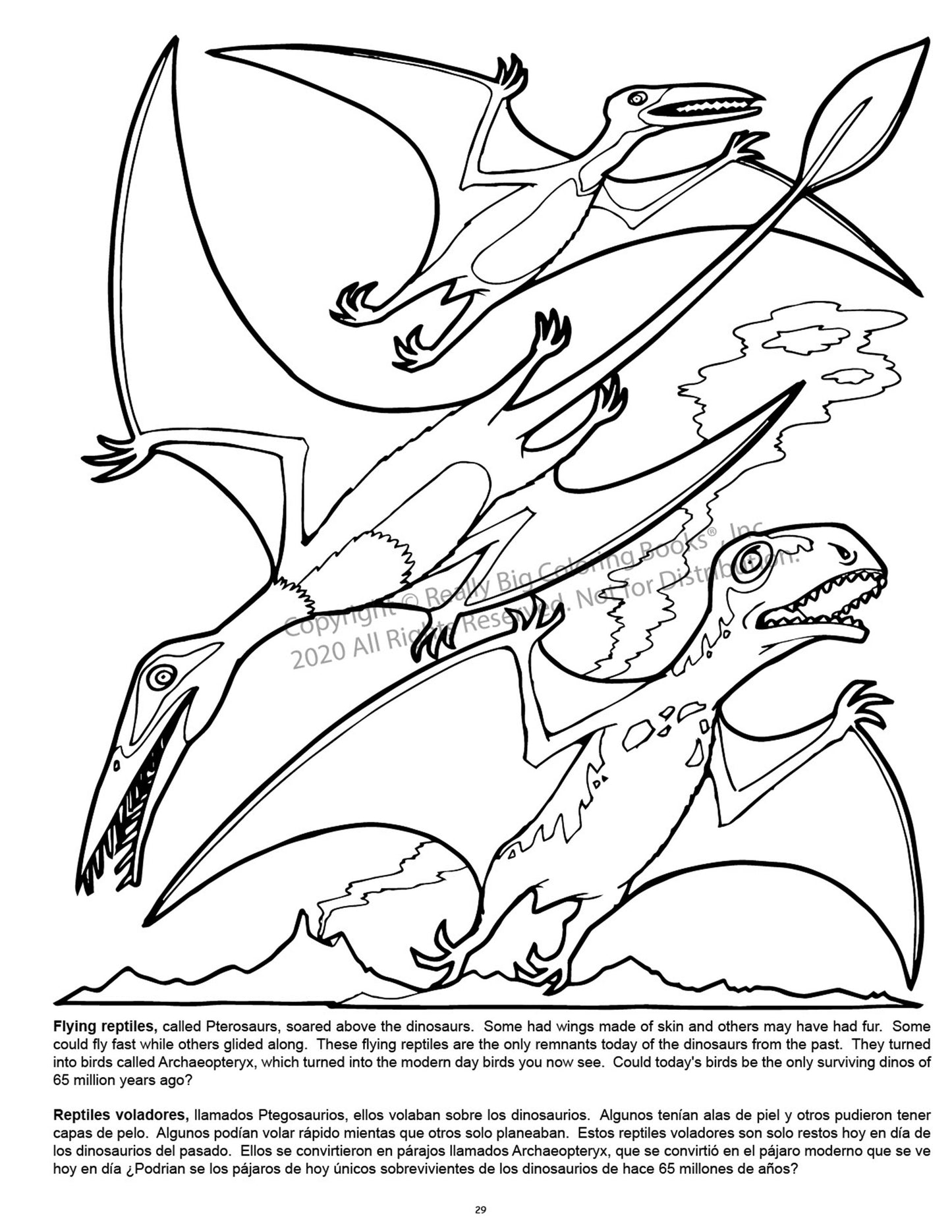 Dinosaurs Coloring Book Case Pack (12)