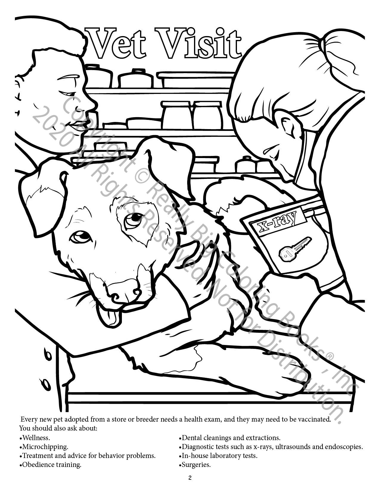 Dogs and Cats Power Panel Coloring Book Case Pack (12)