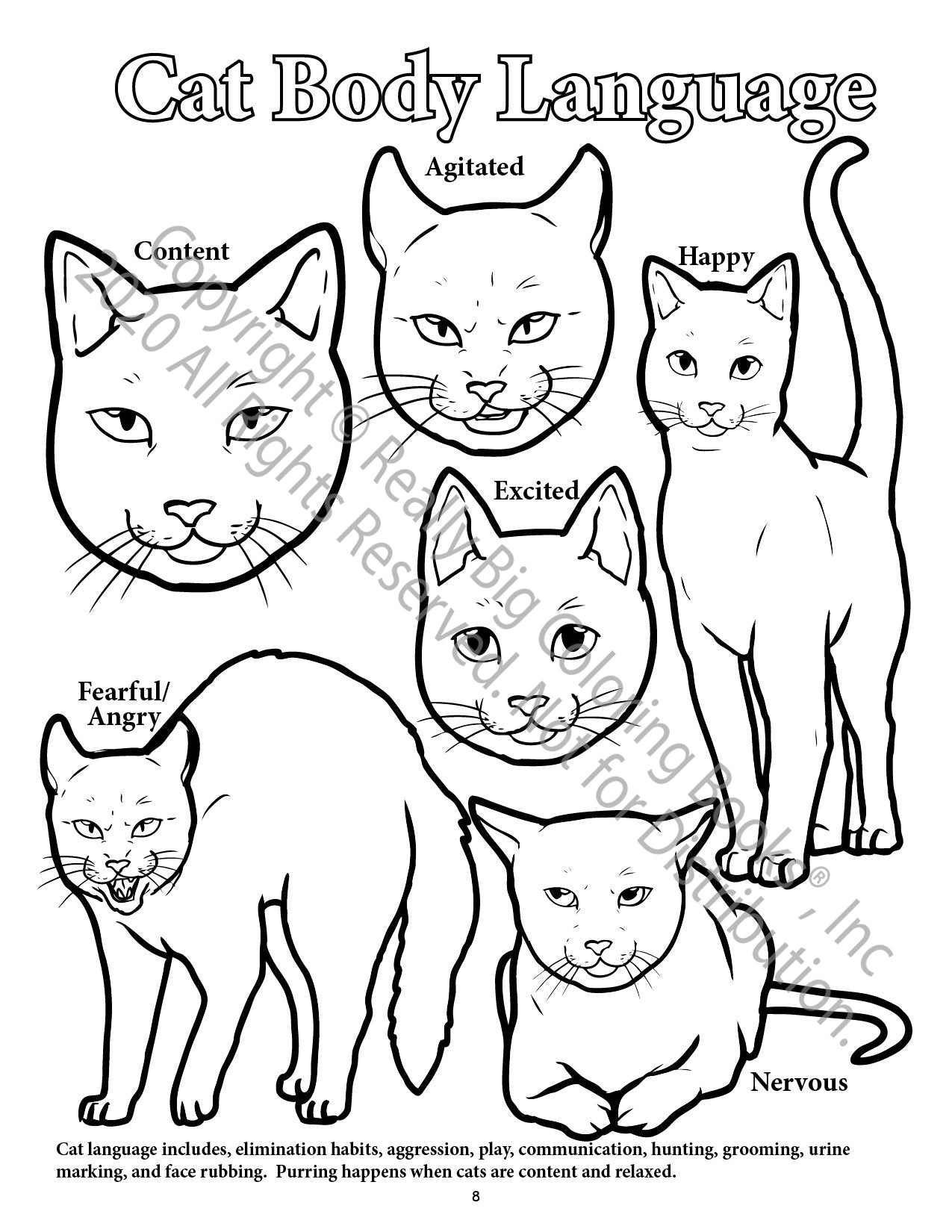 Dogs and Cats Power Panel Coloring Book Case Pack (12)