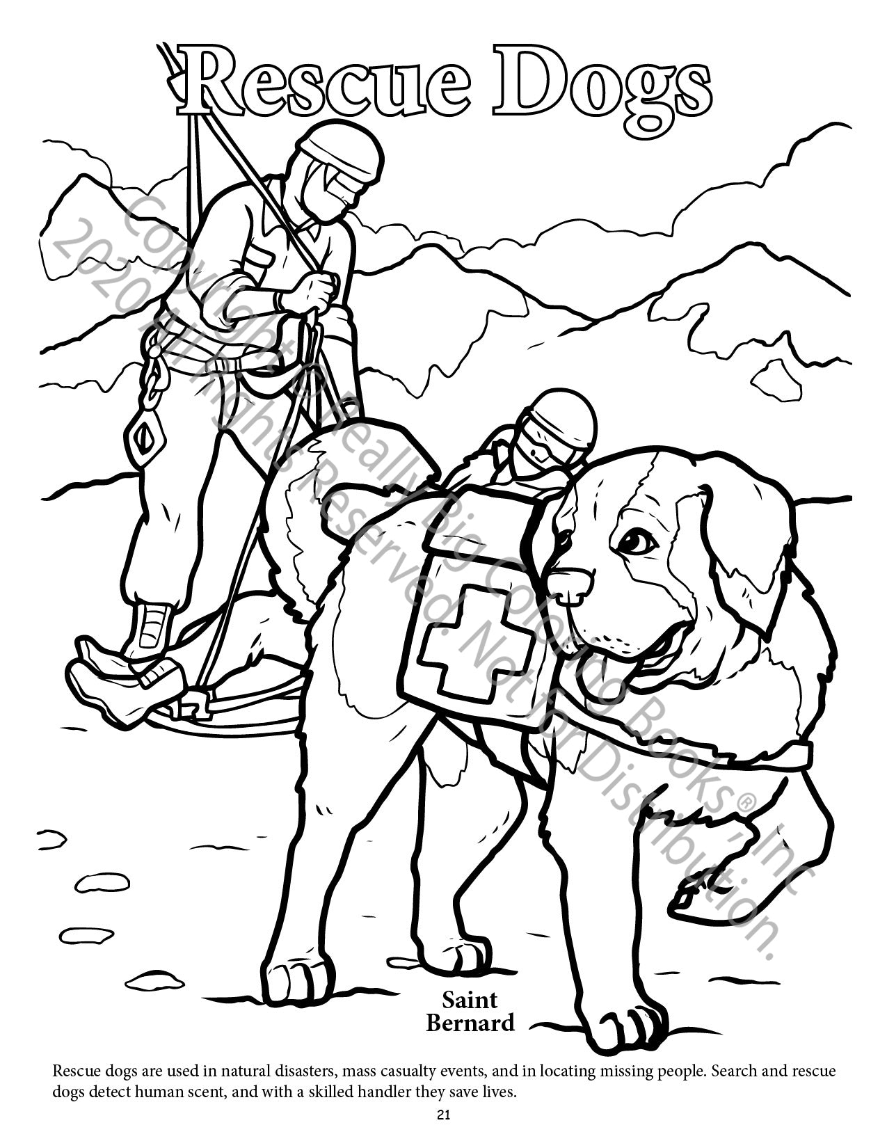 Dogs and Cats Power Panel Coloring Book Case Pack (12)