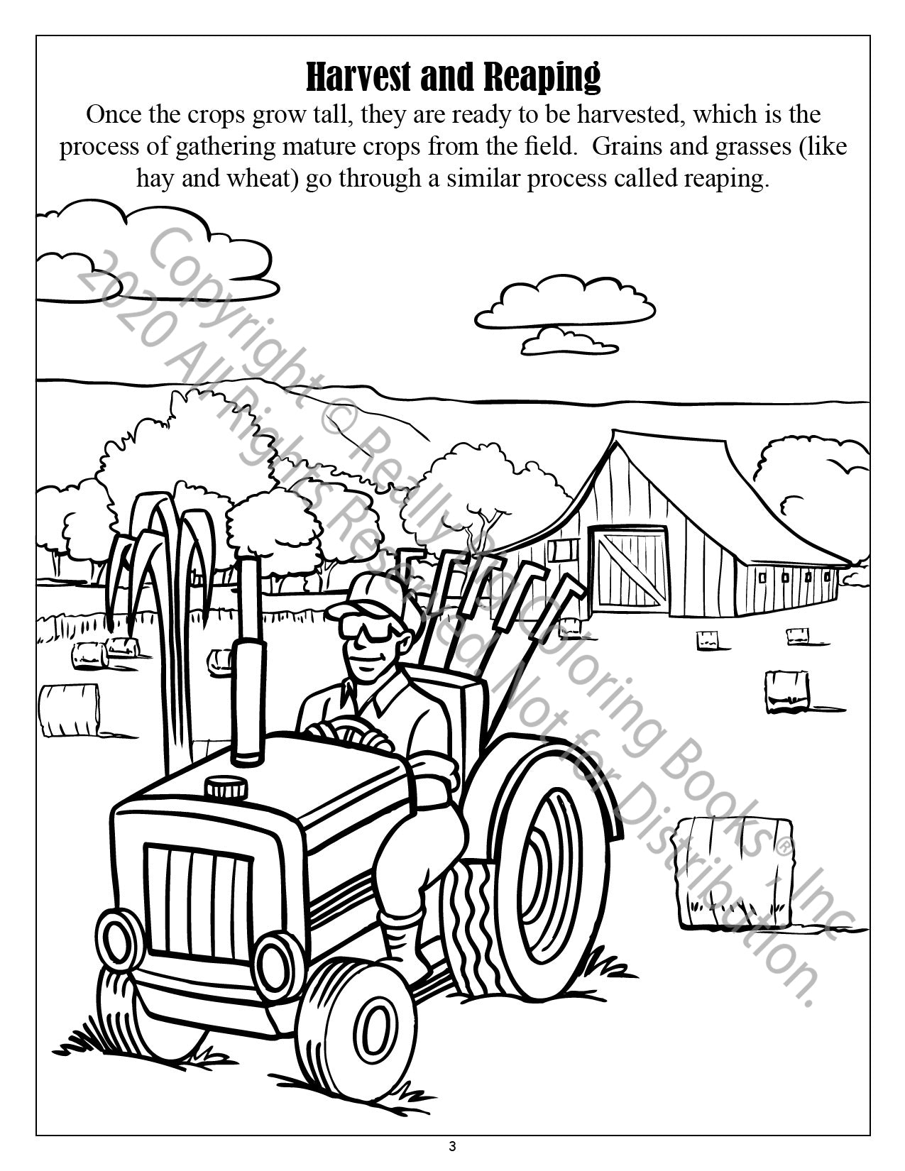 Food and Fun on the Farm Power Panel Coloring Book Case Pack (12)