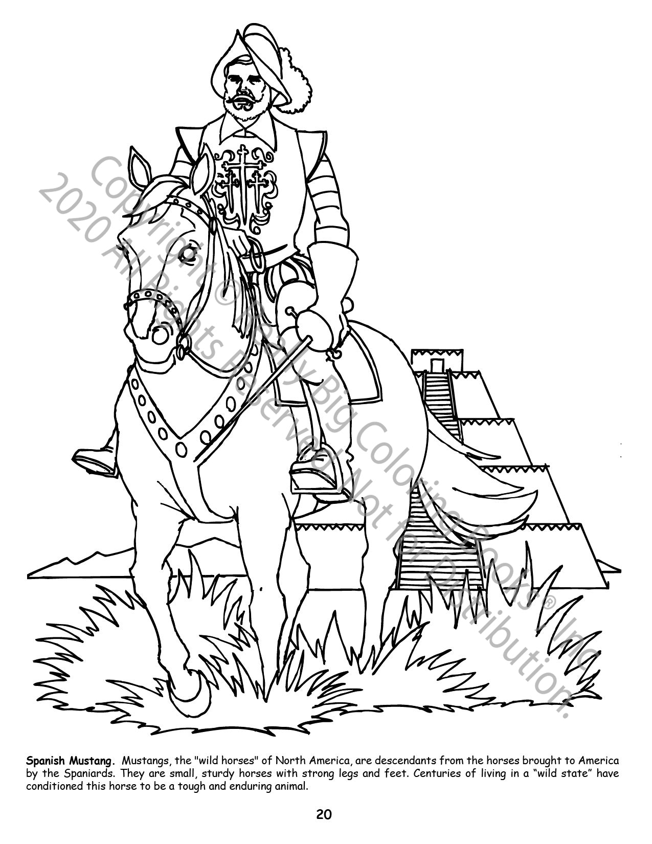 Little Book of Horses Power Panel Coloring Book Case Pack (12)