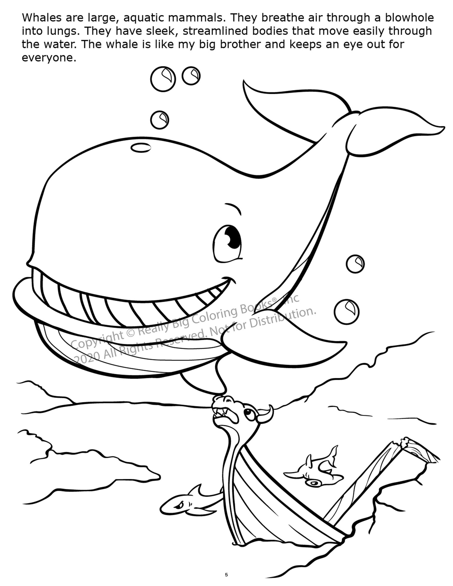 Underwater Adventure Coloring Book Case Pack (12)