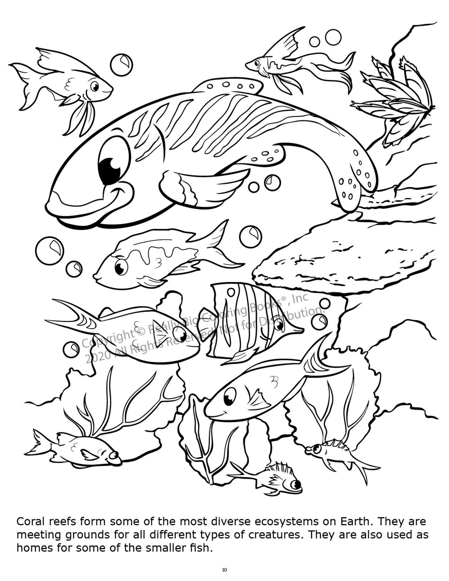 Underwater Adventure Coloring Book Case Pack (12)