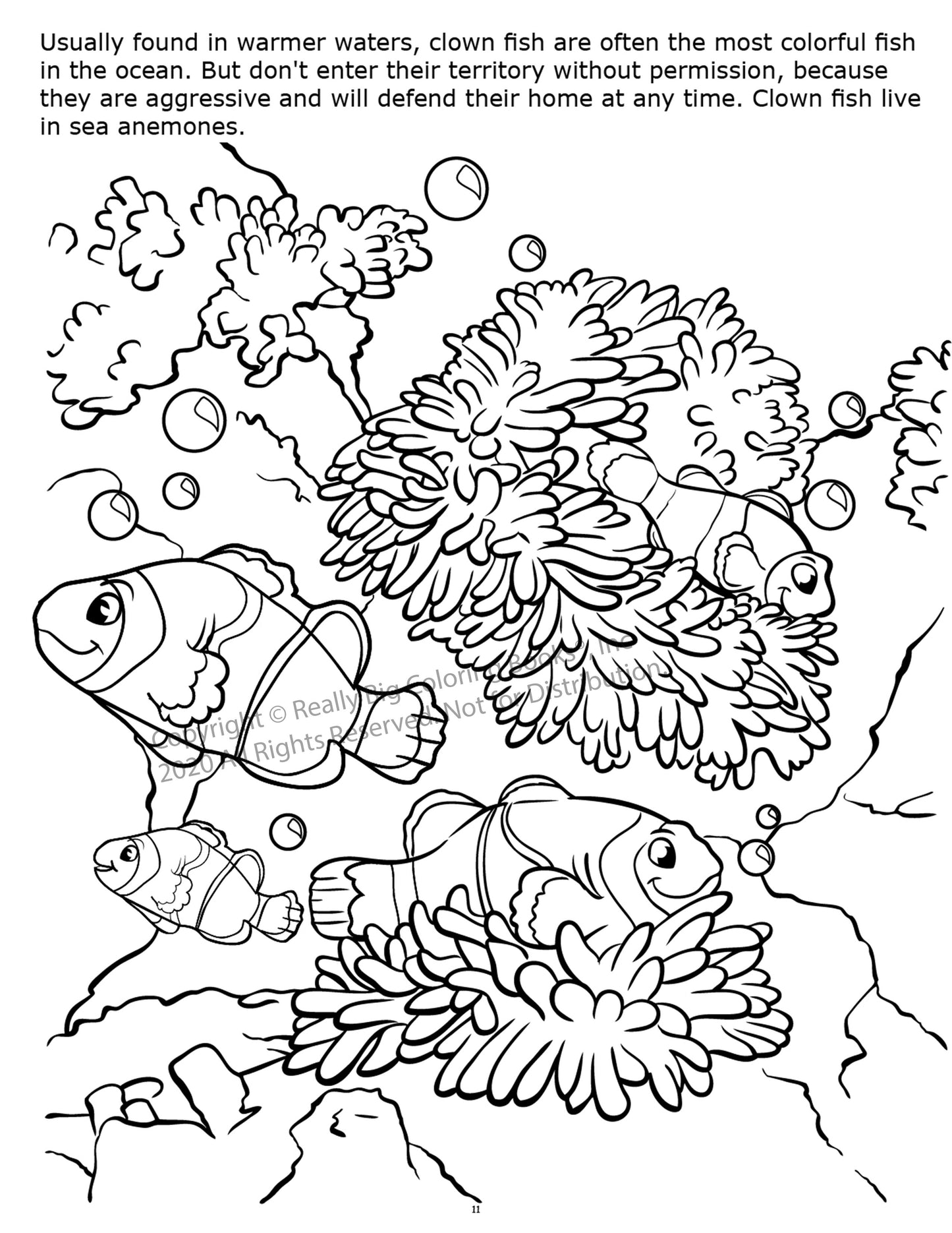 Underwater Adventure Coloring Book Case Pack (12)