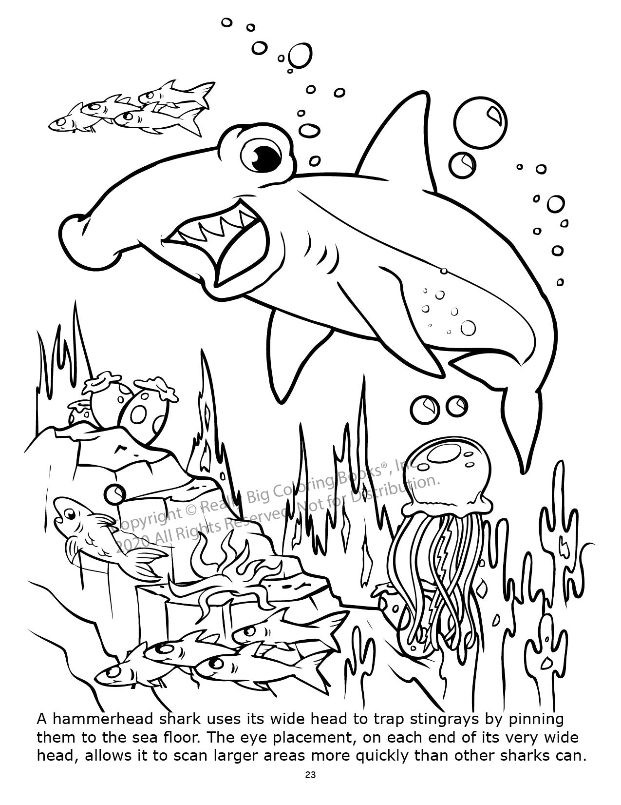 Underwater Adventure Power Panel Coloring Book Case Pack (12)