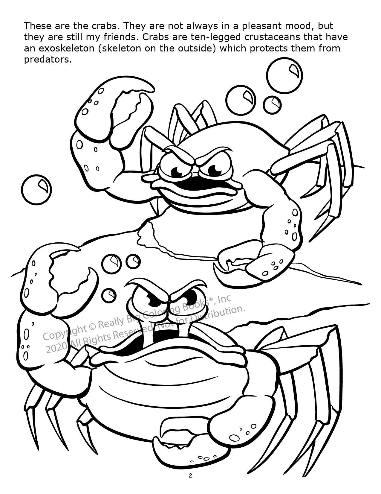 Underwater Adventure Power Panel Coloring Book Case Pack (12)