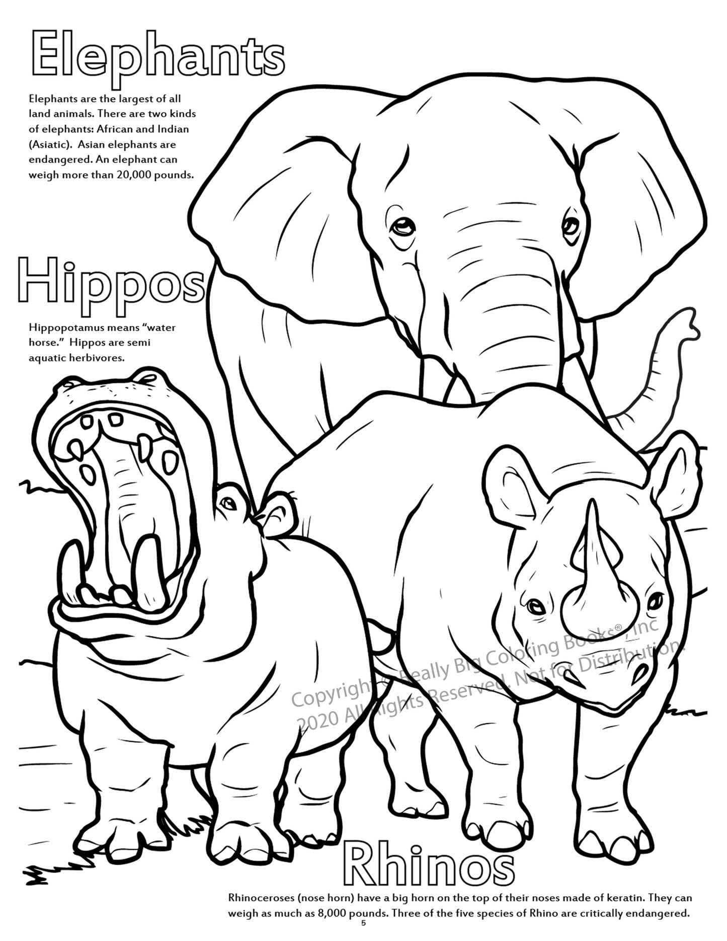 Zoo Animals Coloring Book Case Pack (12)