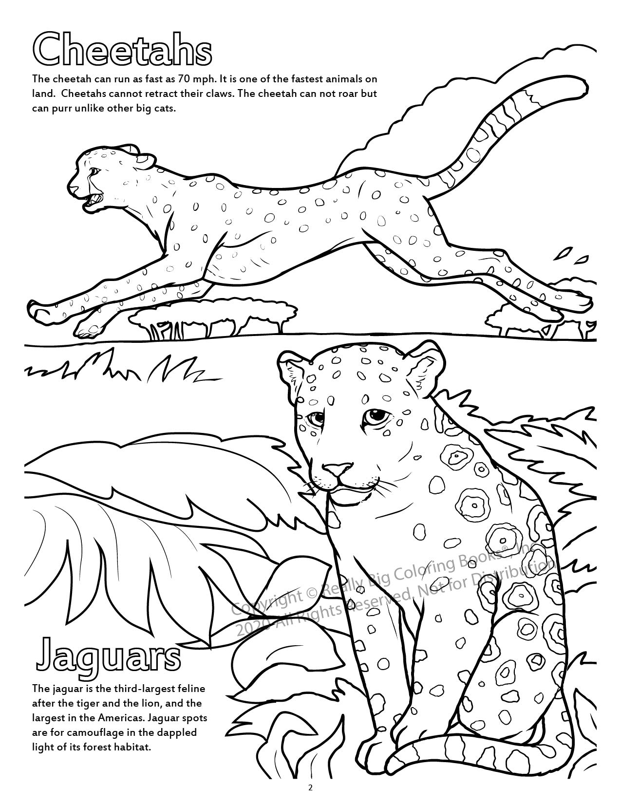 A Day at the Zoo Power Panel Coloring Book Case Pack (12)