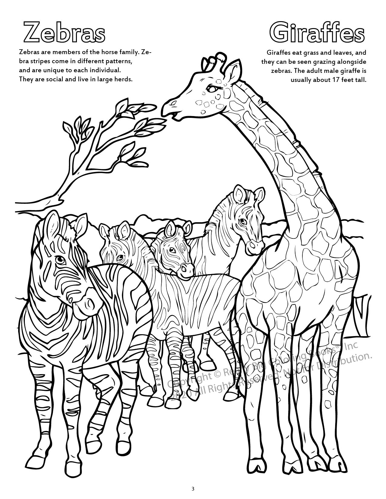 A Day at the Zoo Power Panel Coloring Book Case Pack (12)