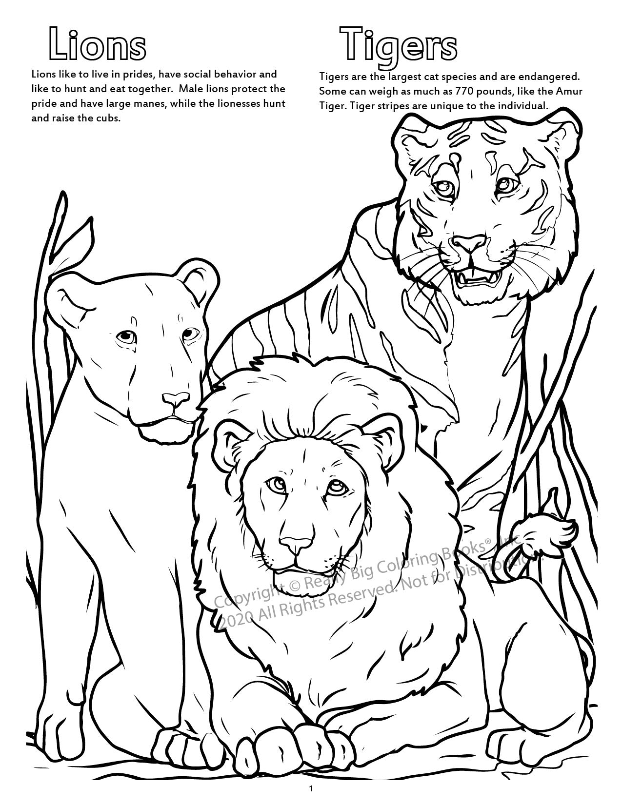 A Day at the Zoo Power Panel Coloring Book Case Pack (12)